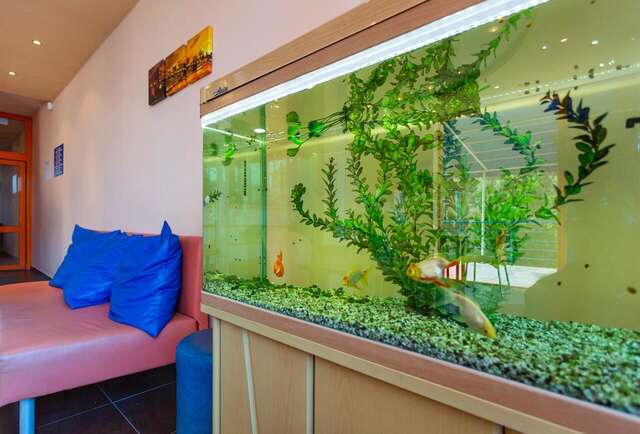Отель Family Hotel Jemelly Обзор-15
